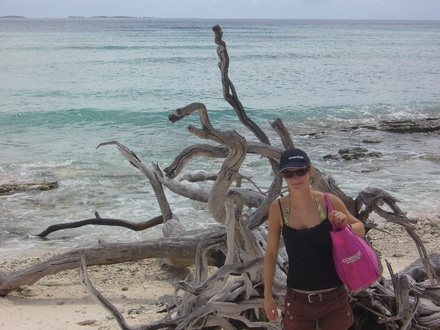  Im Great Barrier Reef
 