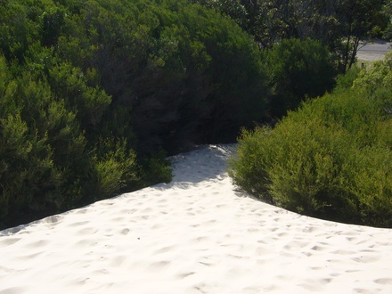  Myall Lakes National Park
 