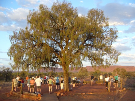  Wir sind nicht allein
 