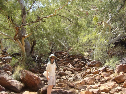  Kings Canyon Flussbett
 