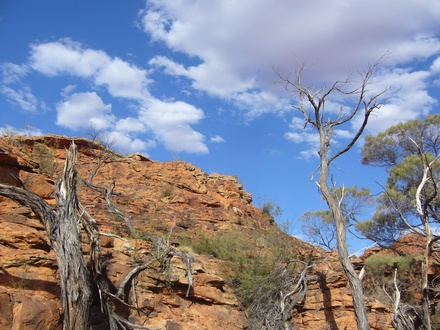  Kings Canyon
 