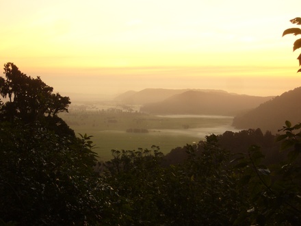  Herrlischer Ausblick, Weg zum Fox Glacier
