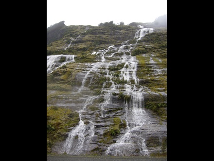  Weg zum Milford Sound
 