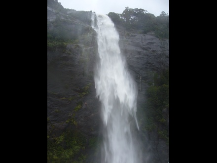  Milford Sound: Bootstour
 