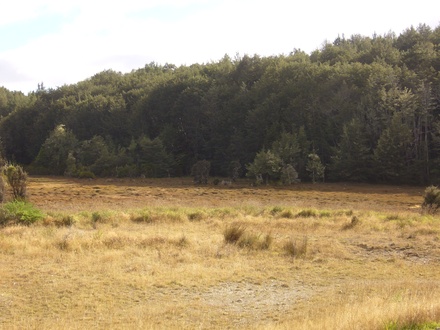  Vermutlich war hier der verbrannte Orkhaufen
 