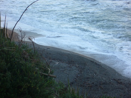  Nicht ganz leicht an Land zu kommen
 