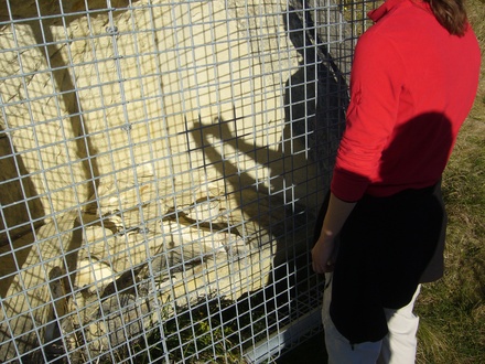  Ein Fisch am Ort, wo er gestorben ist ;)
 