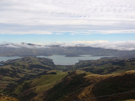  Und wieder raus. Schon lustig!
 